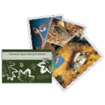 A set of educational materials on aquatic macroinvertebrates, including a green booklet titled Insect Life Cycle & Habitat and three Aquatic Macroinvertebrate Life Cycle & Habitat Flashcards - 5946 with close-up photos of insects in water habitats.